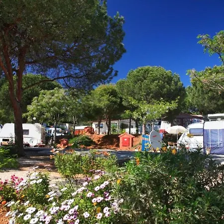 Camping Mobil à Pour 8 Pers. - Api-1-52-1922 *